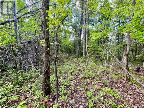 Pt Lt 9 Foymount Road Bonnechere Valley ON K0J 1M0