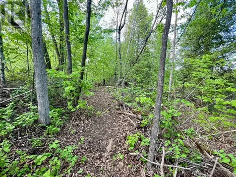 Pt Lt 9 Foymount Road Bonnechere Valley ON K0J 1M0