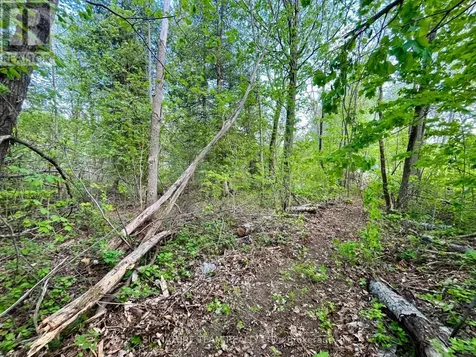 Pt Lt 9 Foymount Road Bonnechere Valley ON K0J 1M0