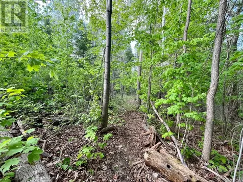 Pt Lt 9 Foymount Road Bonnechere Valley ON K0J 1M0