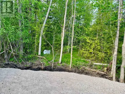 Pt Lt 9 Foymount Road Bonnechere Valley ON K0J 1M0
