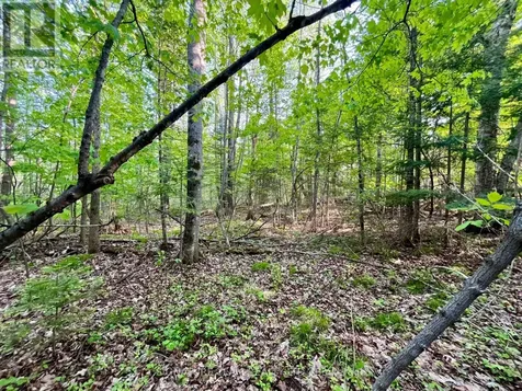Pt Lt 9 Foymount Road Bonnechere Valley ON K0J 1M0
