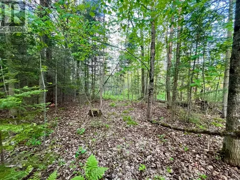 Pt Lt 9 Foymount Road Bonnechere Valley ON K0J 1M0