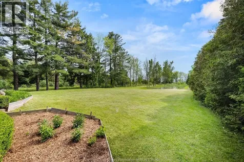 265A County Road 34 Cottam ON N8M 2X5
