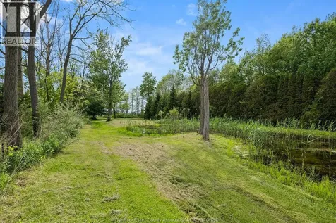 265A County Road 34 Cottam ON N8M 2X5