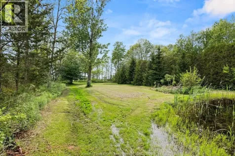 265A County Road 34 Cottam ON N8M 2X5