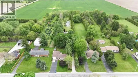 265A County Road 34 Cottam ON N8M 2X5