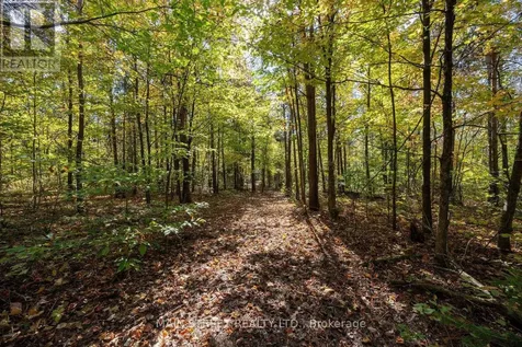 4730 Devitts Road Scugog ON L0B 1B0