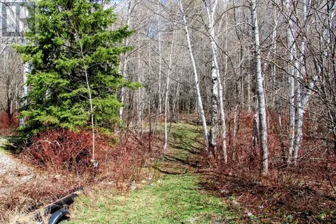 50 Otter Avenue Manitouwadge ON P0T 2C0