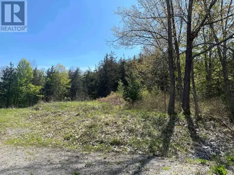 430 Beaver Road Trent Hills ON K0K 1L0