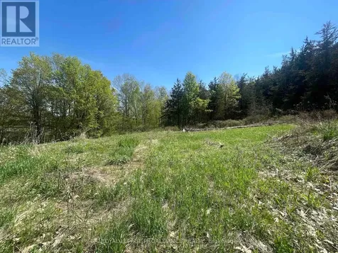 430 Beaver Road Trent Hills ON K0K 1L0