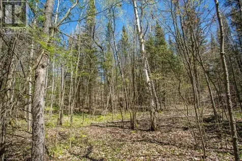 Concession Road 5 Bruce Mines ON P0R 1C0