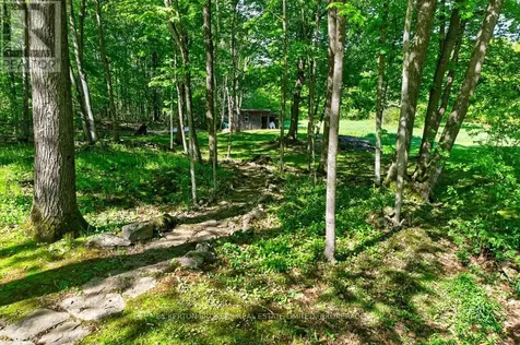 129 Cross Road Rideau Lakes ON K0G 1E0