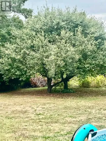 2963 Roger Stevens Drive East Ottawa ON K0A 2T0
