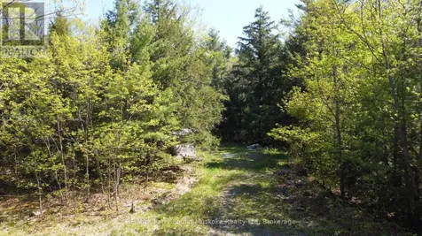 175 North Sandy Plains Road Seguin ON P2A 2W8