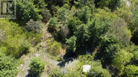 175 North Sandy Plains Road Seguin ON P2A 2W8