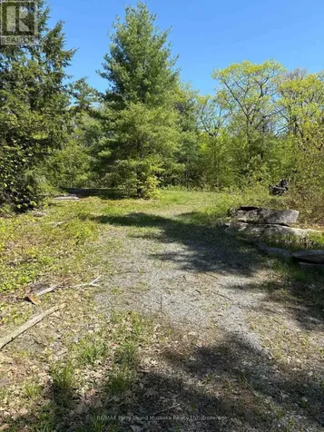 175 North Sandy Plains Road Seguin ON P2A 2W8