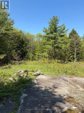 175 North Sandy Plains Road Seguin ON P2A 2W8