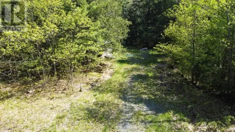 175 North Sandy Plains Road Seguin ON P2A 2W8