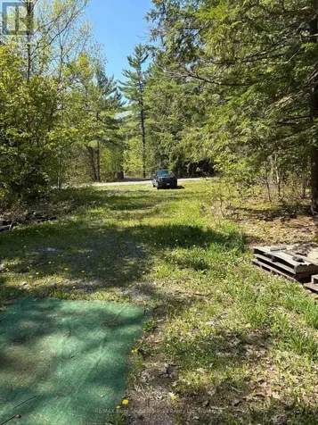 175 North Sandy Plains Road Seguin ON P2A 2W8