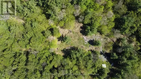 175 North Sandy Plains Road Seguin ON P2A 2W8