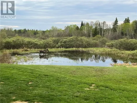 1678 Talon Street Greater Sudbury ON P3P 1S5