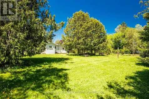 8480 Nottawasaga River Road Adjala-tosorontio ON L0G 1L0