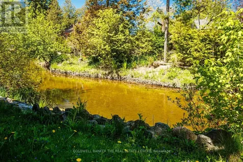 8480 Nottawasaga River Road Adjala-tosorontio ON L0G 1L0