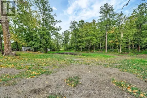 14184 Highway 62 Madoc ON K0K 2K0