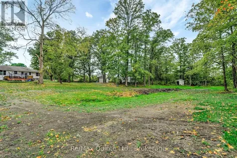 14184 Highway 62 Madoc ON K0K 2K0