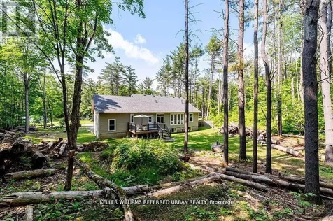 51 Pine Grove Road Trent Hills ON K0K 2M0
