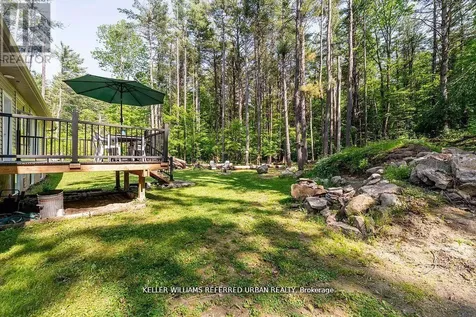51 Pine Grove Road Trent Hills ON K0K 2M0