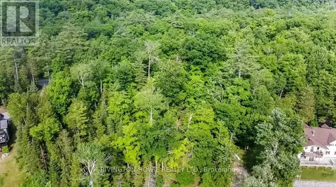 00 Timber Lane North Ottawa ON K0A 1X0