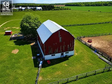 6703 Pine Plains Road East Adjala-tosorontio ON L0M 1J0