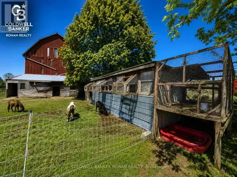 6703 Pine Plains Road East Adjala-tosorontio ON L0M 1J0