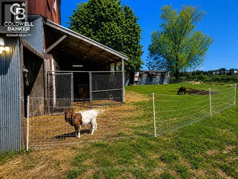 6703 Pine Plains Road East Adjala-tosorontio ON L0M 1J0