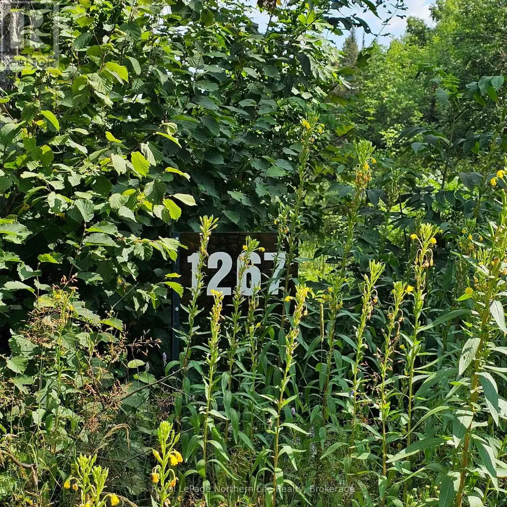 1267 Snake Creek Road Mattawan ON P0H 1V0