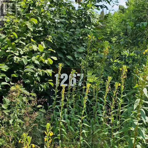 1267 Snake Creek Road Mattawan ON P0H 1V0