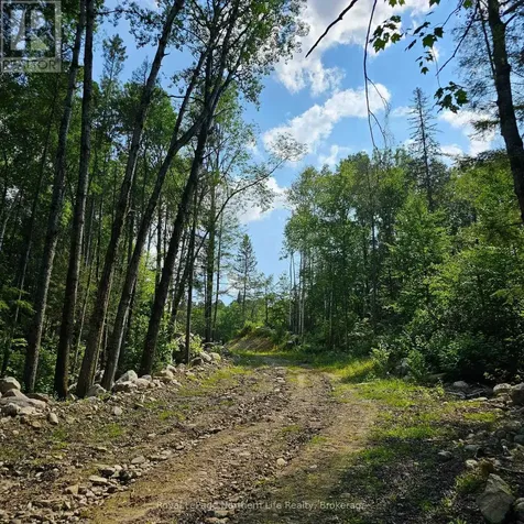 1267 Snake Creek Road Mattawan ON P0H 1V0