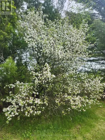 2943 B Line Road Laurentian Valley ON K8A 6W6