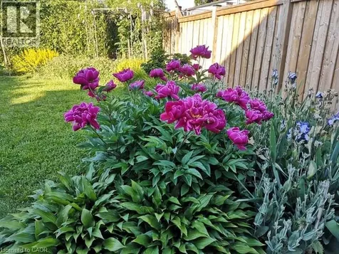 1294 Napier Crescent Oakville ON L6H 2A4