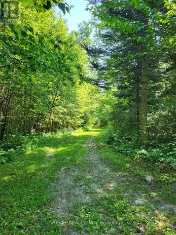 36 Horwood Cottager Road Sudbury Remote Area ON P0M 1T0