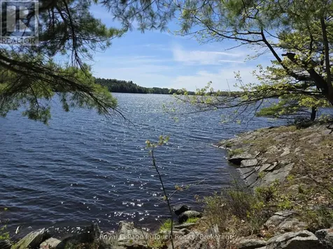 2910 Maclean Lake North Shore Road Severn ON L0K 1E0