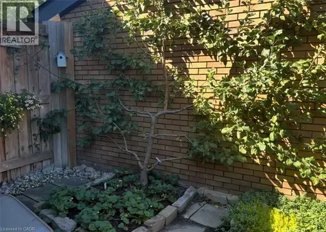 296 Weber Street East Kitchener ON N2H 1G2