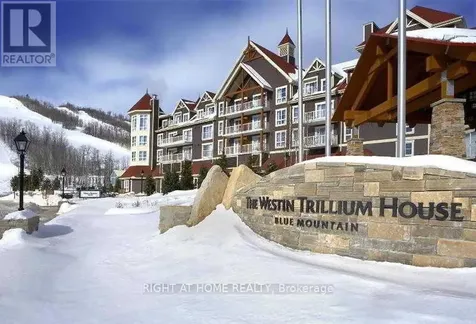 220 Gord Canning Drive Blue Mountains ON L9Y 0V9