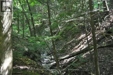 Lot 21 Bayshore Road Meaford ON N0H 1B0
