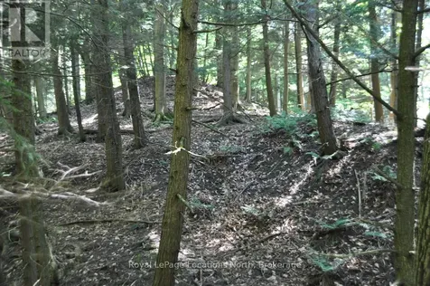 Lot 21 Bayshore Road Meaford ON N0H 1B0