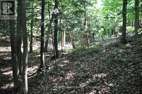 Lot 21 Bayshore Road Meaford ON N0H 1B0
