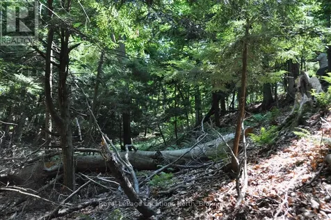 Lot 21 Bayshore Road Meaford ON N0H 1B0