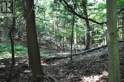 Lot 21 Bayshore Road Meaford ON N0H 1B0